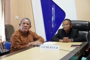 Gubernur Menyapa Kepala Desa, Secara Virtual