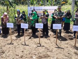 Pemkab Parigi Moutong Canangkan Gerakan Tanam Cabe,Guna tekan inflasi