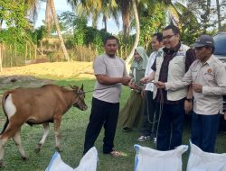 Pencanangan Kawasan Sentra Produksi Ternak (KTSP) Kecamatan Parigi Selatan.