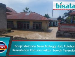 Banjir Melanda Desa Balinggi Jati, Puluhan Rumah dan Ratusan Hektar Sawah Terendam