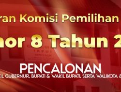 Polemik PKPU 08 2024 Dan Pendapat Hukum