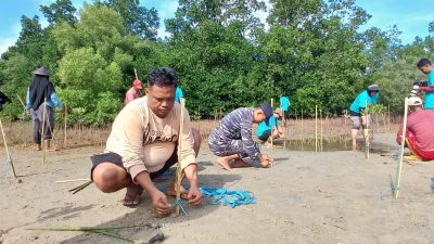Pemda Parigi Moutong Dan GPMTT Tanam Manggrove