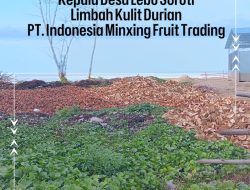 Kepala Desa Lebo Soroti Limbah Kulit Durian PT. Indonesia Minxing Fruit Trading