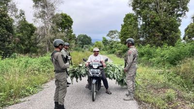 Razia Kendaraan di Poso, Satgas Madago Raya Waspadai Potensi Ancaman Selama Ramadhan