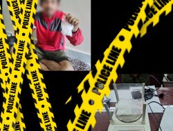 Polda Sulteng Tangkap Kurir Sabu 101,35 Gram,Berbekal Informasi Dari Masyarakat