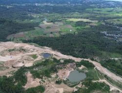 Di Atas Lahan yang Mati, Petani Menunggu Janji yang Tak Kunjung Tiba