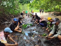 FKPAPT Parigi Moutong Tanam 1000 Bibit Mangrove di Desa Mertasari Peringati Hari Lingkungan Hidup