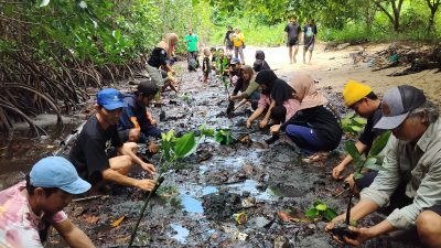 FKPAPT Parigi Moutong Tanam 1000 Bibit Mangrove di Desa Mertasari Peringati Hari Lingkungan Hidup