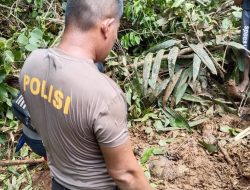 Tujuh Warga Diduga Tewas Akibat Longsor Saat Mencari Kayu di Gunung Talenga Bolano Lambunu