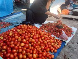 Harga Tomat dan Cabai Rawit Melonjak di Pasar Parigi Moutong