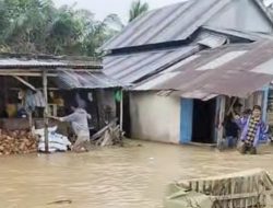 Desa Air Panas Disapu Banjir Lumpur Diduga Dampak Tambang Ilegal di Kayuboko