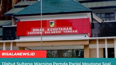 Dishut Sulteng Warning Pemda Parigi Moutong Soal Pembukaan Tambang Dekat Hutan Lindung