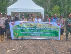 Polsek Kasimbar Tanam Jagung Serentak Kuartal IV, Wujud Nyata Dukung Swasembada Pangan 2025