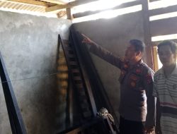 Percobaan Penculikan Anak Gegerkan Warga Tomini, Pelaku Lolos Usai Dikejar Ayah Korban