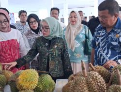 Wamenkop UKM Dorong Gerakan “Satu Pekarangan Satu Pohon Durian”, Wabup Parimo Tegaskan Komitmen 1 Desa 2 Hektar Berdasarkan Perbup 5/2023