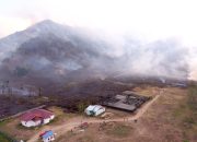 Karhutla Hanguskan 20 Hektare Lahan di Desa Avolua, Tiga KK Mengungsi