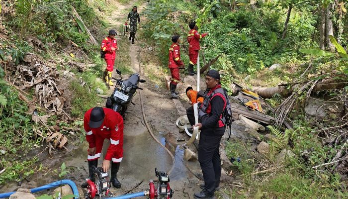 Karhutla Parigi Moutong Capai 147 Hektare, Lahan Pertanian Warga Ikut Terbakar