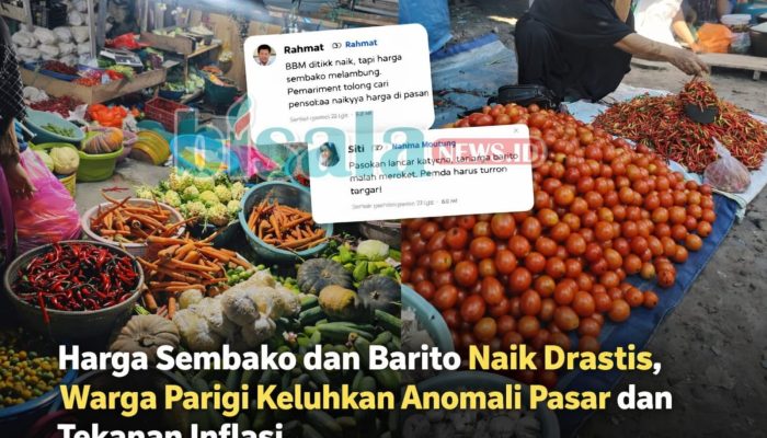 Harga Sembako dan Barito Naik Drastis, Warga Parigi Soroti Anomali Pasar dan Tekanan Inflasi