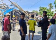 Pohon Tumbang di Parigi Moutong Telan Korban Jiwa, Timpa Rumah Warga yang Sudah Lama Melapor