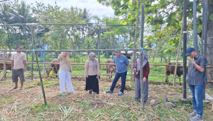 Jelang Idul Adha 1447 H, Komisi II DPRD Gorontalo Monitoring Hewan Kurban di Bone Bolango