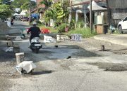 Pemda dan DPRD Parigi Moutong Hanya Umbar Janji, Warga Loji Tambal Jalan Berlubang Secara Swadaya
