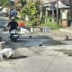 Pemda dan DPRD Parigi Moutong Hanya Umbar Janji, Warga Loji Tambal Jalan Berlubang Secara Swadaya