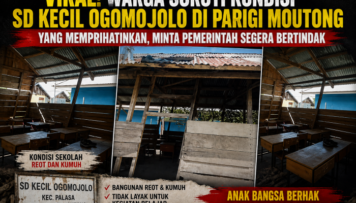 Viral! Warga Soroti Kondisi SD Kecil Ogomojolo di Parigi Moutong Yang Memprihatinkan, Minta Pemerintah Segera Bertindak