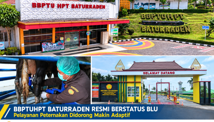 BBPTUHPT Baturraden Resmi Berstatus BLU, Pelayanan Peternakan Didorong Makin Adaptif